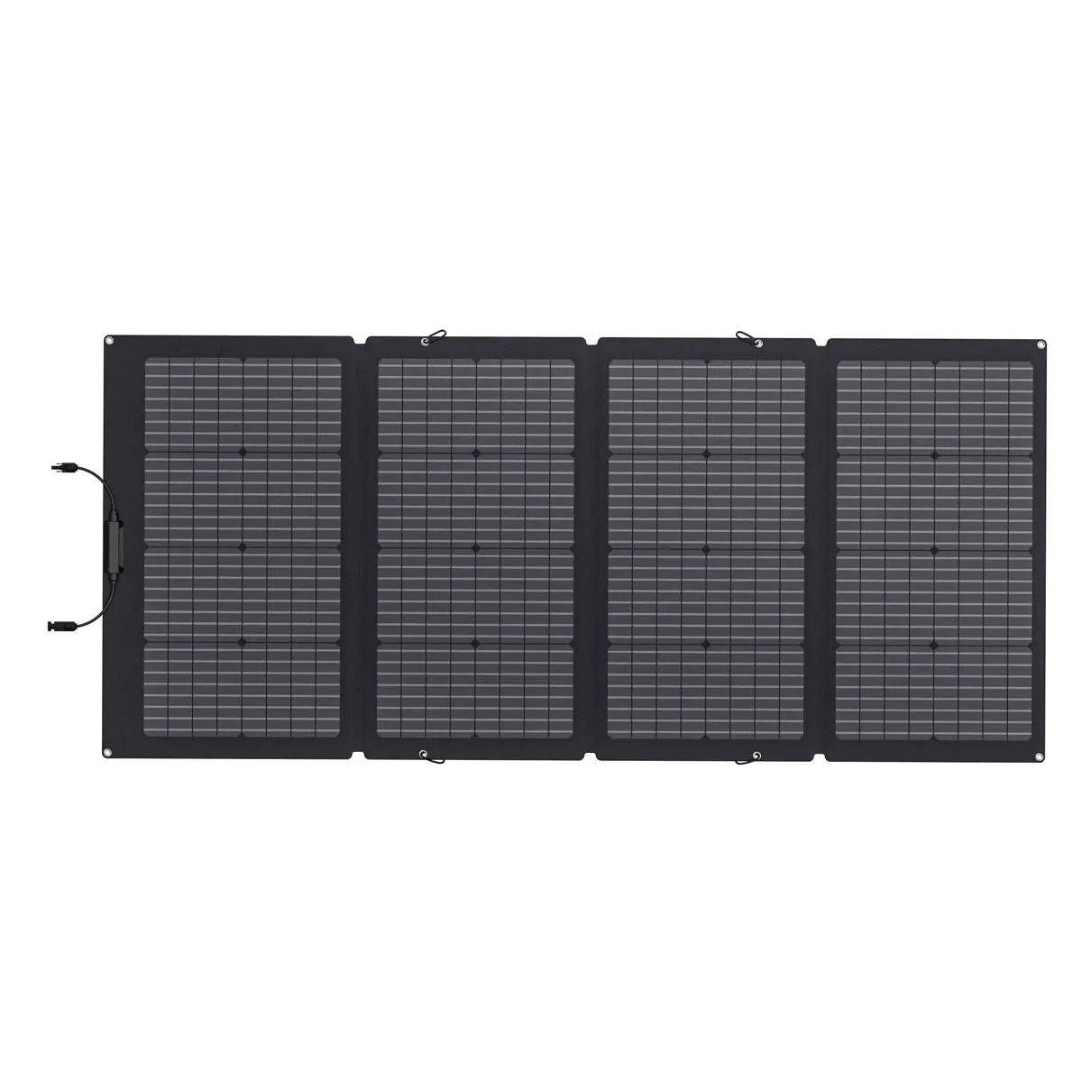 EcoFlow Solar Panel 220W faltbares Solarmodul mit Tragetasche